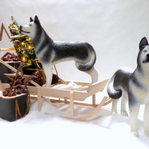 Husky / Schlittenhund