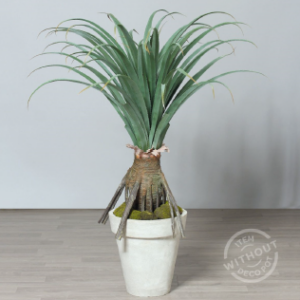 Agave Topf Kunstpflanze mieten - Schmuecker Dekoration