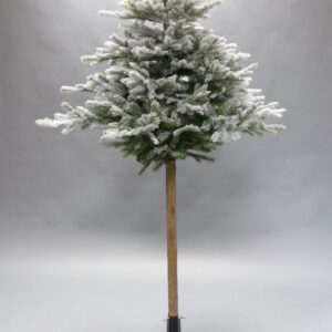 Beschneite Tanne Winter Kunstpflanze mieten - Schmuecker Dekoration