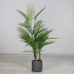 Chico Palme Kunstpflanze mieten - Schmuecker Dekoration