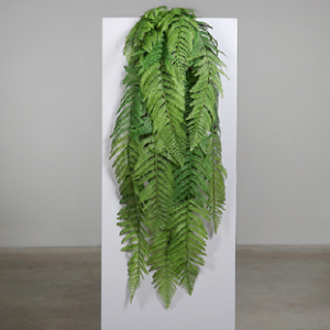 Farnhaenger Dschungel Kunstpflanze mieten - Schmuecker Dekoration