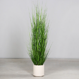 Gras Topf Kunstpflanze mieten - Schmuecker Dekoration