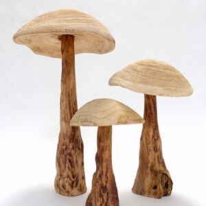 Holzpilze Deko Naturholz 4 - Schmuecker
