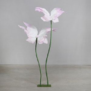 Papier Schmetterling Dekoration mieten - Schmuecker Dekoration