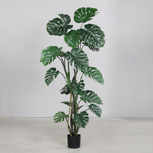 Philodendron Baum Kunstpflanze mieten - Schmuecker Dekoration