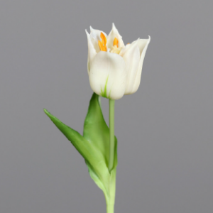 Tulpe Naturnah Kunstpflanze mieten - Schmuecker Dekoration