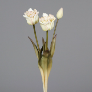 Tulpenbund Creme Beige Kunstpflanze mieten - Schmuecker Dekoration