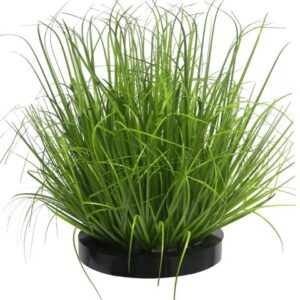 Wiesengras Kunstpflanze mieten - Schmuecker Dekoration