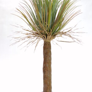 Yukka Palme Kunstpflanze mieten - Schmuecker Dekoration