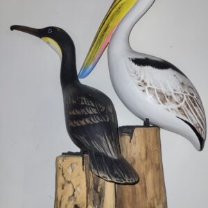 Pelikan Vogel