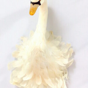 Schwan