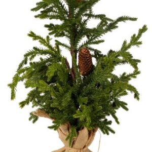 Tanne im Sack 115cm